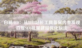 白杨SEO：从5118站长工具备案内参发现百度SEO批量建站优化玩法