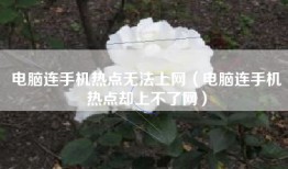 电脑连手机热点无法上网（电脑连手机热点却上不了网）