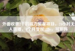 外面收费2千的磁力聚星项目，24小时无人直播，4个月变现122w，可矩阵