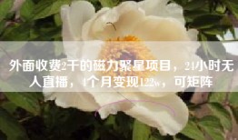 外面收费2千的磁力聚星项目，24小时无人直播，4个月变现122w，可矩阵