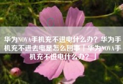 华为NOVA手机充不进电什么办？华为手机充不进去电是怎么回事「华为NOVA手机充不进电什么办？」