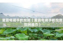 夏普电视手机投屏（夏普电视手机投屏如何操作）