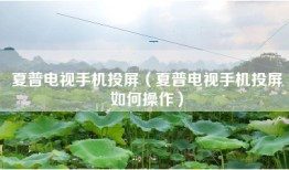 夏普电视手机投屏（夏普电视手机投屏如何操作）