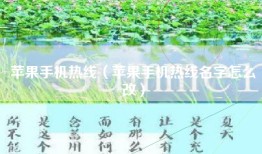 苹果手机热线（苹果手机热线名字怎么改）