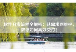 软件开发流程全解析：从需求到维护，教你如何高效交付！