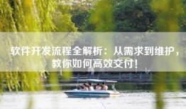 软件开发流程全解析：从需求到维护，教你如何高效交付！