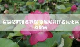 百度站群排名教程 百度站群排名优化实战指南
