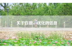 关于百度seo优化的信息