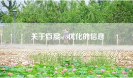 关于百度seo优化的信息