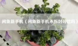 闲鱼新手机（闲鱼新手机未拆封可信吗）