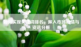 如何实现关键词排名，深入市场行情与资讯分析