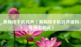 黄梅戏手机铃声（黄梅戏手机铃声谁料皇榜中状元）