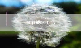 02 转战DSP广告