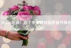 2021seo培训：五个步骤教你稳步提升排名