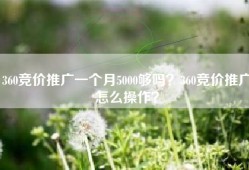 360竞价推广一个月5000够吗？360竞价推广怎么操作？