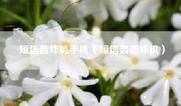 短信轰炸机手机（短信轰轰炸机）