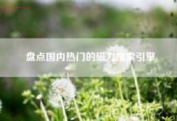 盘点国内热门的磁力搜索引擎