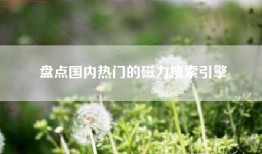 盘点国内热门的磁力搜索引擎