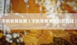 手机恢复设置（手机恢复设置后会怎样）