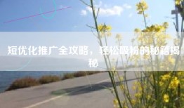 短优化推广全攻略，轻松吸粉的秘籍揭秘