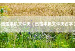 迅雷手机文件夹（迅雷手机文件夹名字）