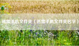 迅雷手机文件夹（迅雷手机文件夹名字）