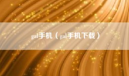 gal手机（gal手机下载）