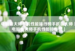 电脑鲁大师手机性能排行榜手机鲁大师「电脑鲁大师手机性能排行榜」
