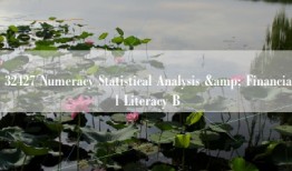 32427 Numeracy Statistical Analysis & Financial Literacy B