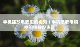 手机播放电脑里的视频（手机播放电脑里的视频没声音）