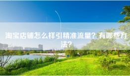 淘宝店铺怎么样引精准流量？有哪些方法？
