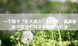 一个精子“长大成人”的经历，满满都是辛酸泪，科学家用照片记录
