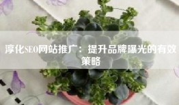 淳化SEO网站推广：提升品牌曝光的有效策略