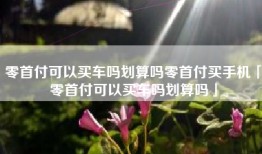 零首付可以买车吗划算吗零首付买手机「零首付可以买车吗划算吗」