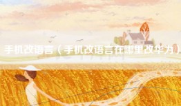 手机改语言（手机改语言在哪里改华为）