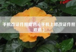 手机改证件照底色（手机上修改证件照底色）