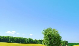 老人陪护老人护理、病人陪护病人护理、护理老人护理病人