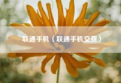 联通手机（联通手机交费）