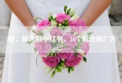 我，新人做小红书，16个粉丝接广告