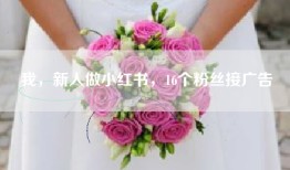 我，新人做小红书，16个粉丝接广告