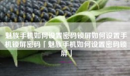 魅族手机如何设置密码锁屏如何设置手机锁屏密码「魅族手机如何设置密码锁屏」