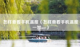 怎样查看手机温度（怎样查看手机温度一加ace）