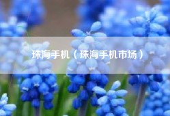 珠海手机（珠海手机市场）