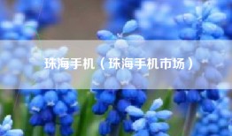 珠海手机（珠海手机市场）