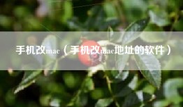 手机改mac（手机改mac地址的软件）