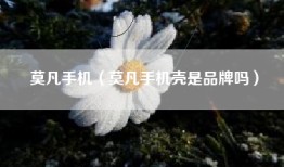 莫凡手机（莫凡手机壳是品牌吗）