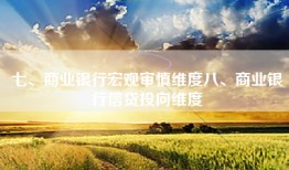 七、商业银行宏观审慎维度八、商业银行信贷投向维度