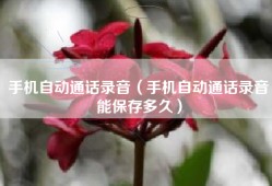 手机自动通话录音（手机自动通话录音能保存多久）