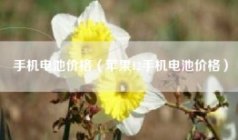 手机电池价格（苹果12手机电池价格）