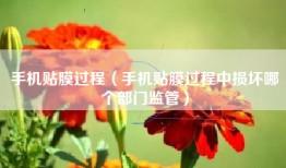手机贴膜过程（手机贴膜过程中损坏哪个部门监管）